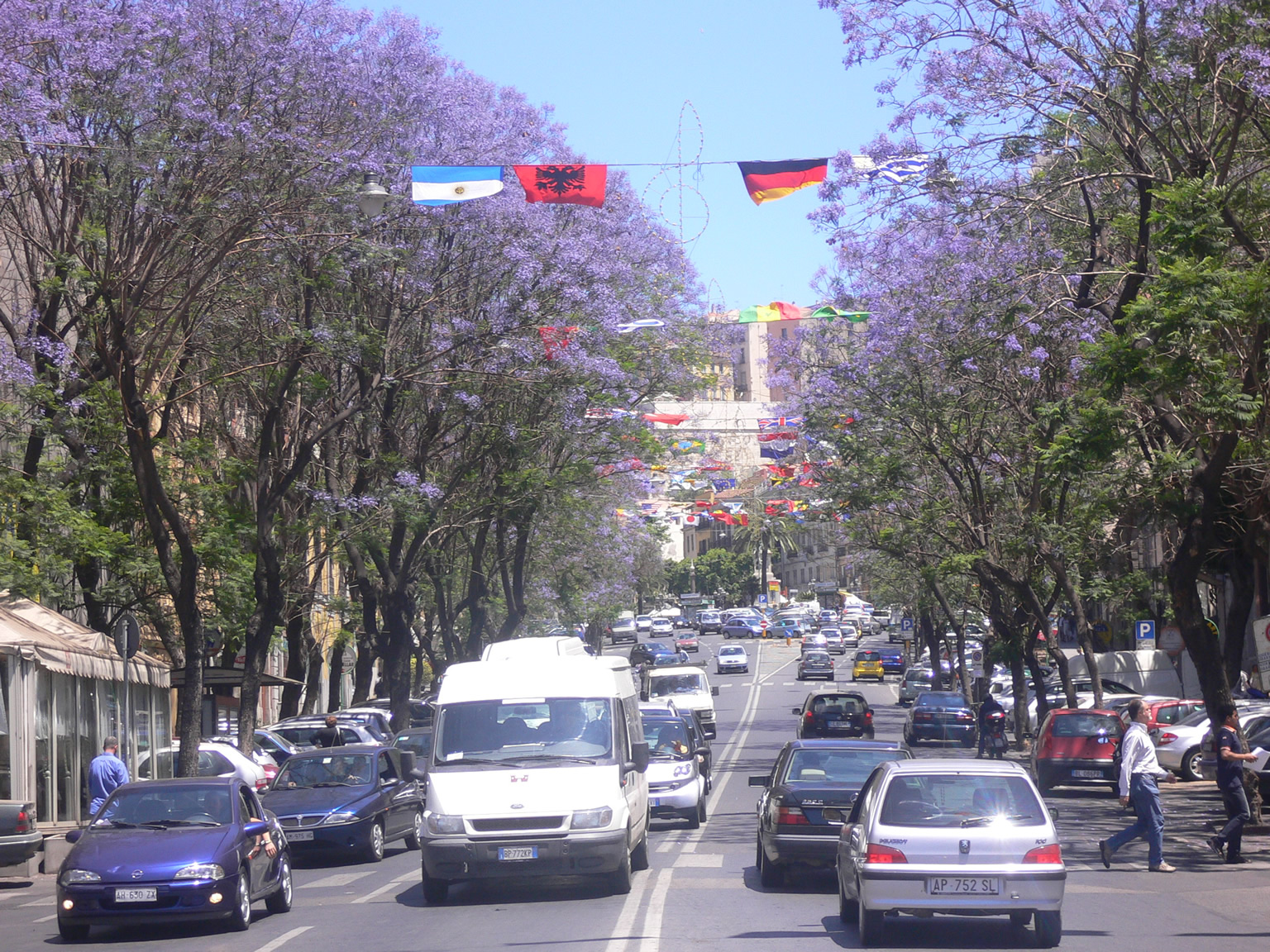 p1000329